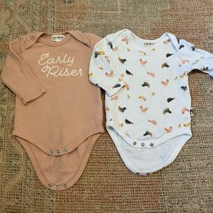 Two long sleeve bodysuits